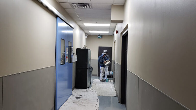 Interior Painting Services